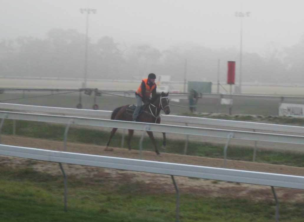 JJ-Track-crop JJ-Track-crop